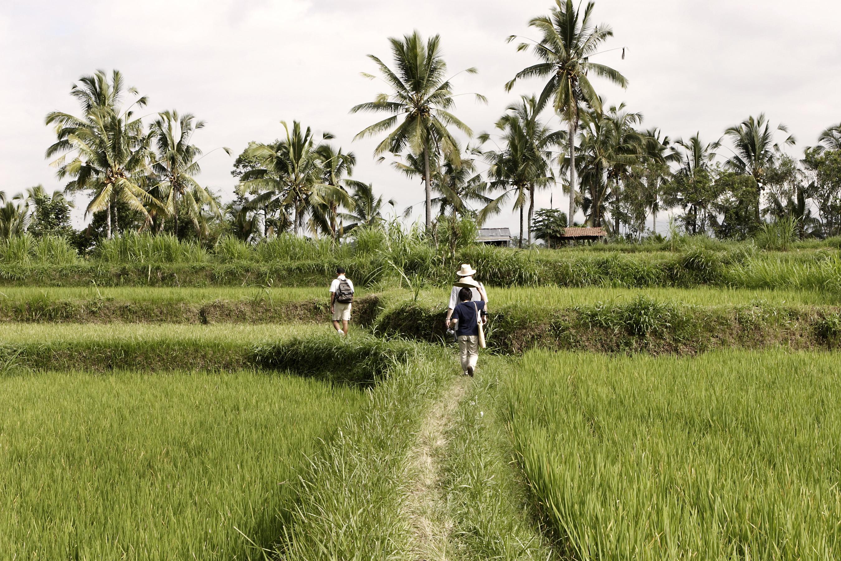 Hanging Gardens Of Bali Ubud  Bagian luar foto